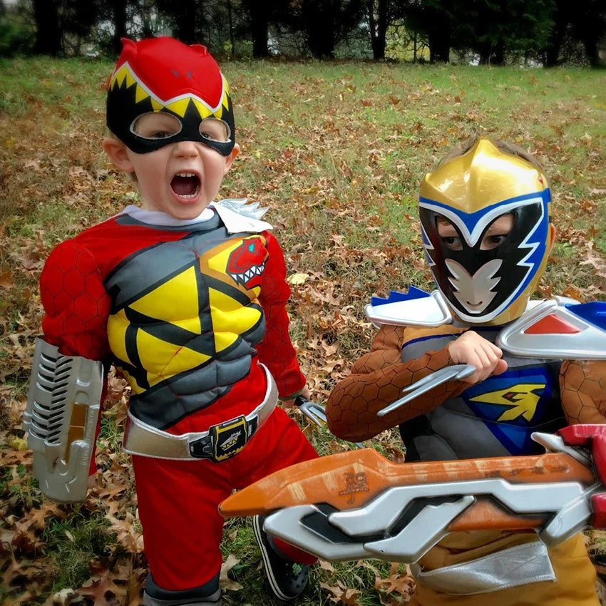 Dino Ranger Superhero Costume Kids