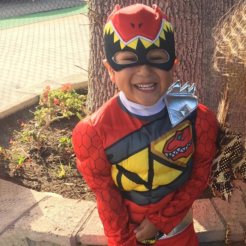 Dino Ranger Superhero Costume Kids